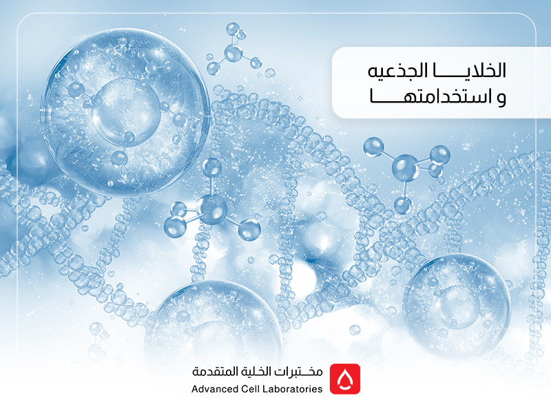 الخلايا الجذعية واستخداماتها | دليل شامل مع مختبر الخلية المتقدم