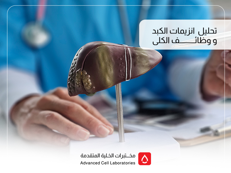 تحليل وظائف الكبد والكلى في السعودية