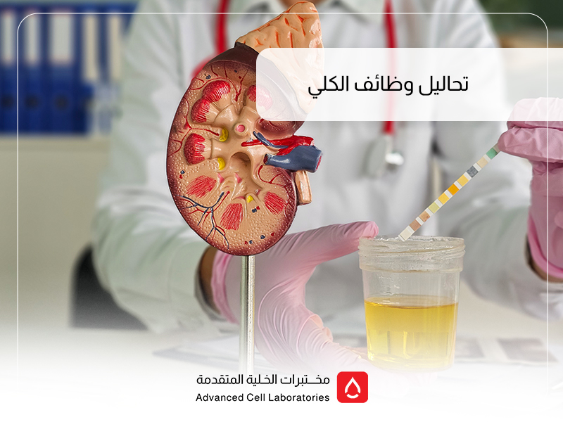 تحاليل وظائف الكلى: دليل شامل لفهم الأهمية، الأنواع، والتكاليف في السعودية