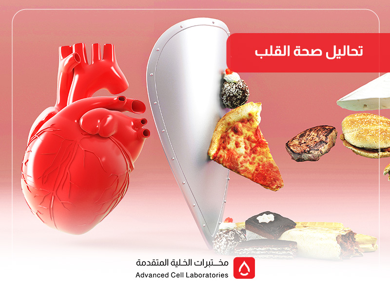 تحاليل صحة القلب: دليلك الشامل لفحص القلب والوقاية من الأمراض