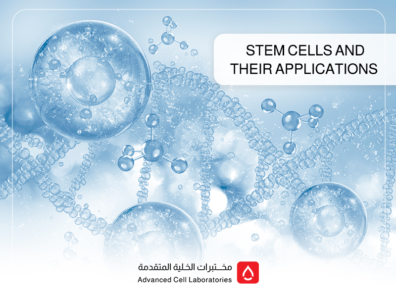 Stem Cells and Their Applications