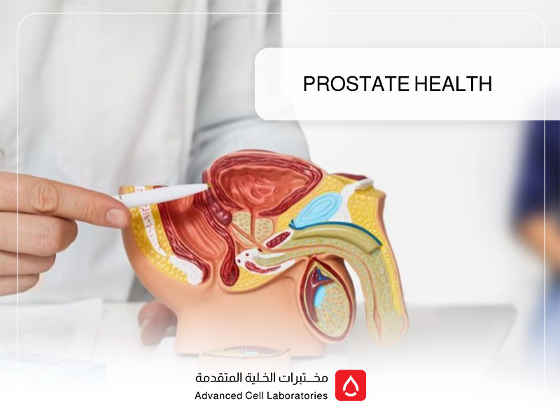 Prostate Health