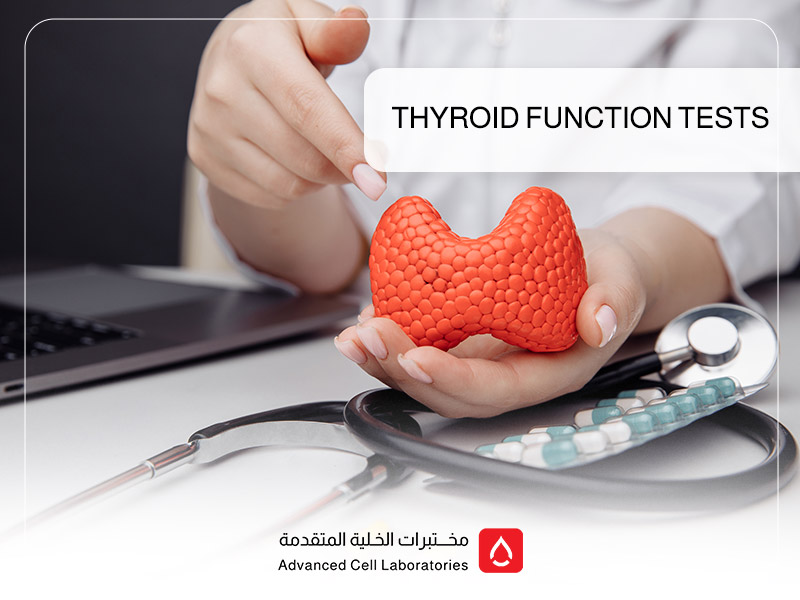 Thyroid Function Tests