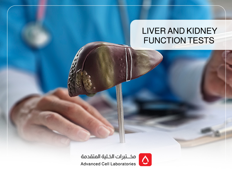 Liver and Kidney Function Tests