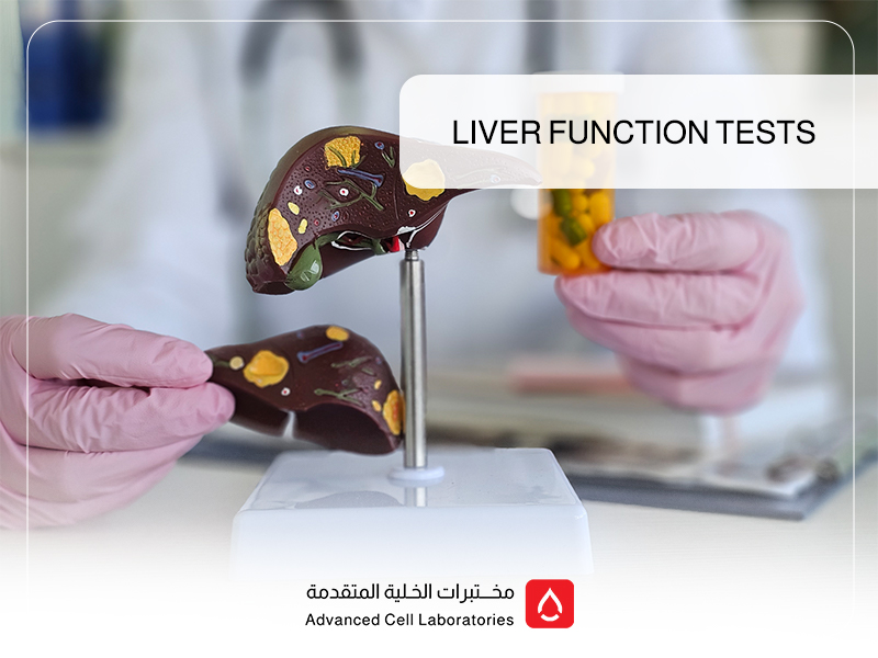 Liver Function Tests